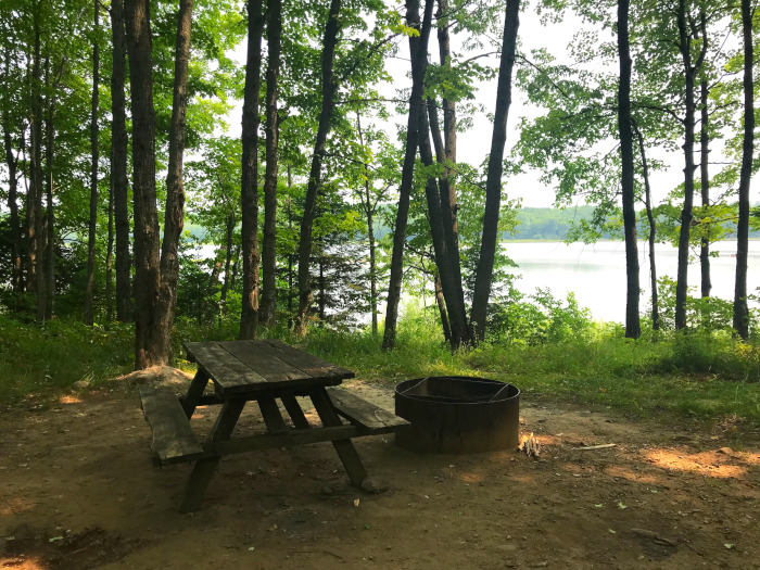 Forest lake campsite